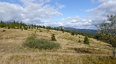 363_TZ60_P1050151_cr