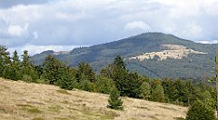 368_TZ60_P1050158_cr