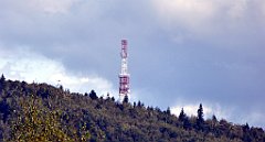 384_TZ60_P1050168_cr