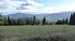 394_TZ60_P1050178_cr