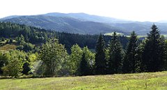 417_TZ60_P1050199_cr