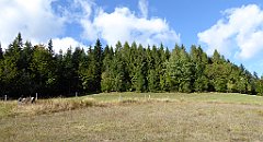 418_TZ60_P1050200_cr