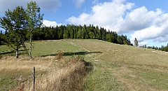 419_TZ60_P1050201_cr