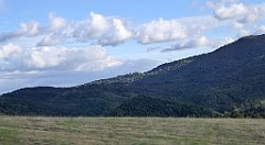 442_TZ60_P1050218_cr