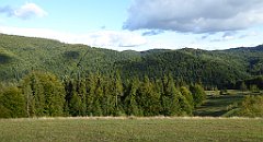 461_TZ60_P1050235_cr