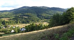 477_TZ60_P1050250_cr