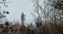 017_TZ60_P1060387_cr