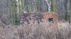 119_TZ60_P1060427_cr