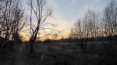 128_TZ60_P1060436_cr