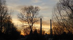 132_TZ60_P1060440_cr