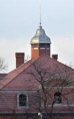 149_TZ60_P1060508_cr