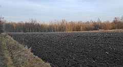 166_TZ60_P1060525_cr