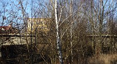 063_TZ60_P1060623_cr