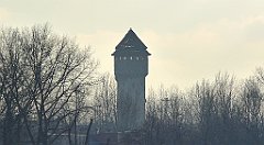 167_TZ60_P1060655_cr