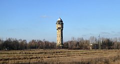 201_TZ60_P1060688_cr