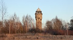 206_TZ60_P1060693_cr