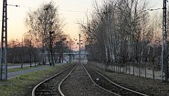 223_TZ60_P1060710_cr