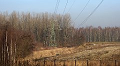 104_TZ60_P1060726_cr