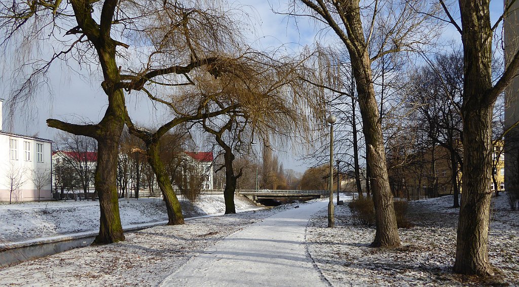 148_TZ60_P1070785_cr.jpg