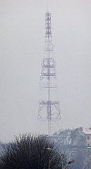 027_TZ60_P1070663_cr