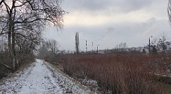 050_TZ60_P1070686_cr