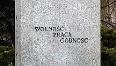 133_TZ60_P1070770_cr