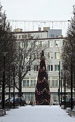 170_TZ60_P1070808_cr