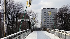 201_TZ60_P1070839_cr