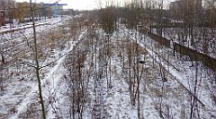 210_TZ60_P1070848_cr