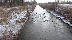 218_TZ60_P1070856_cr