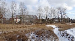 225_TZ60_P1070863_cr