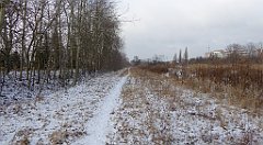 227_TZ60_P1070865_cr