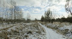 233_TZ60_P1070871_cr