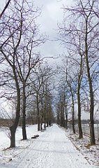 265_TZ60_P1070899_cr