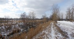 267_TZ60_P1070900_cr