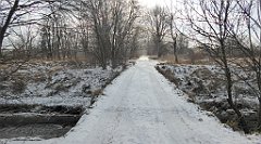 290_TZ60_P1070936_cr