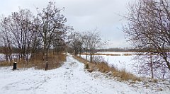 305_TZ60_P1070951_cr