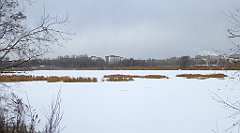 306_TZ60_P1070952_cr