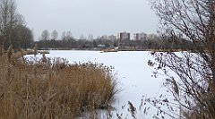 307_TZ60_P1070953_cr