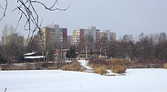 314_TZ60_P1070957_cr