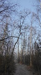 0019_TZ60_P1080340_cr