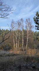 0061_TZ60_P1080364_cr