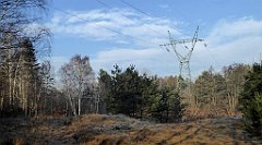 0108_TZ60_P1080386_cr