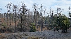 0110_TZ60_P1080388_cr