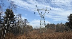 0113_TZ60_P1080391_cr