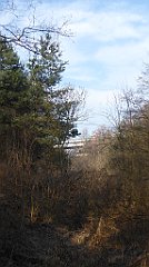 0115_TZ60_P1080393_cr