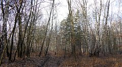 0151_TZ60_P1080426_cr