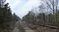 0169_TZ60_P1080438_cr