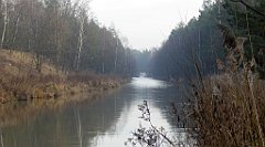 0188_TZ60_P1080454_cr