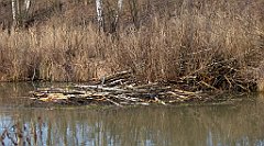 0197_TZ60_P1080461_cr